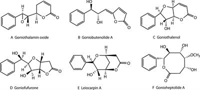 Hydroxypropyl-β-Cyclodextrin Complexes of Styryllactones Enhance the Anti-Tumor Effect in SW1116 Cell Line